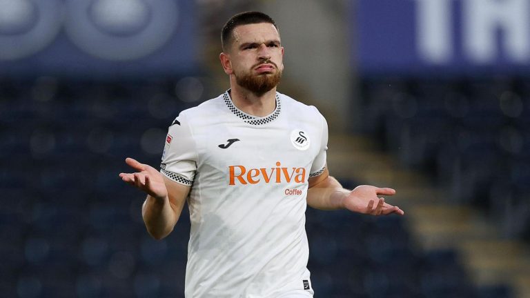 Swanseas goalgetter frister McKenna